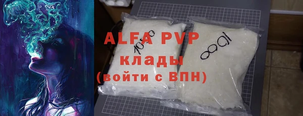 PSILOCYBIN Белокуриха