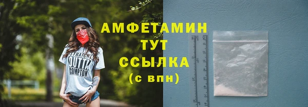 PSILOCYBIN Белокуриха