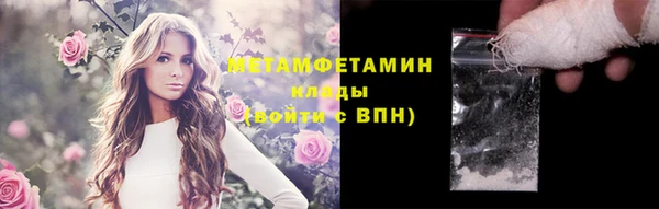 PSILOCYBIN Белокуриха