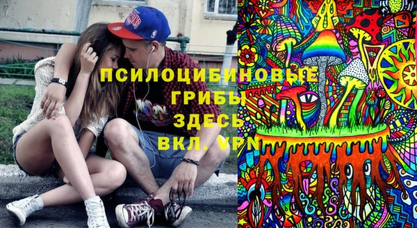 PSILOCYBIN Белокуриха