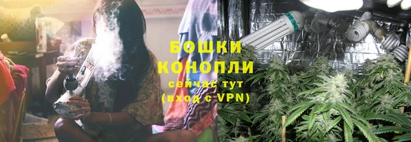 PSILOCYBIN Белокуриха