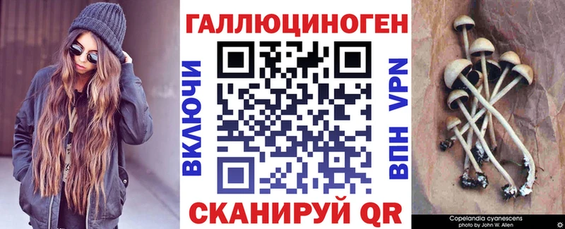 Купить где  Глазов  Галлюциногенные грибы MAGIC MUSHROOMS 